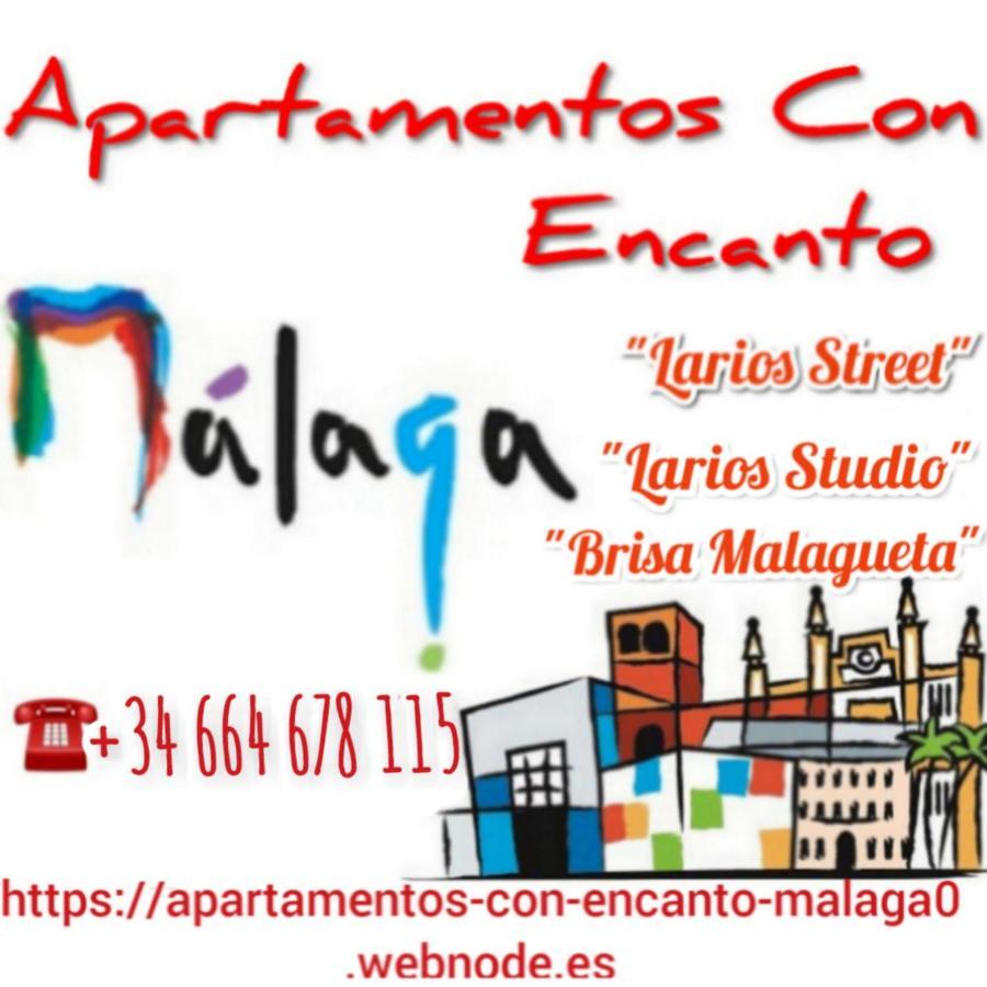 Ferienwohnung Apartamento Con Encanto 'Larios Studio' Málaga Exterior foto